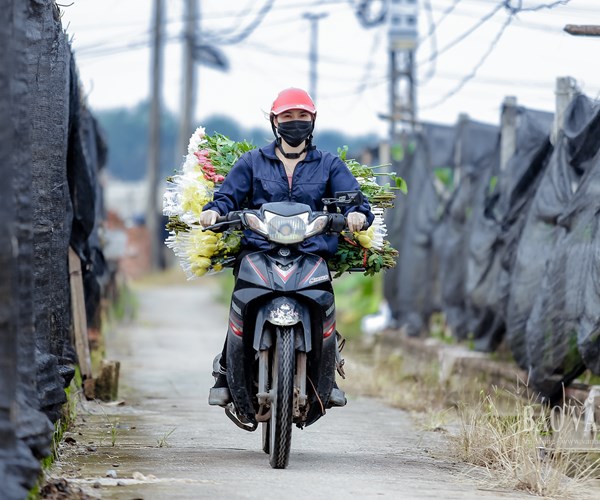 Hà Nội: Thị trường hoa tươi nhộn nhịp trước ngày 20.10 - Anh 6
