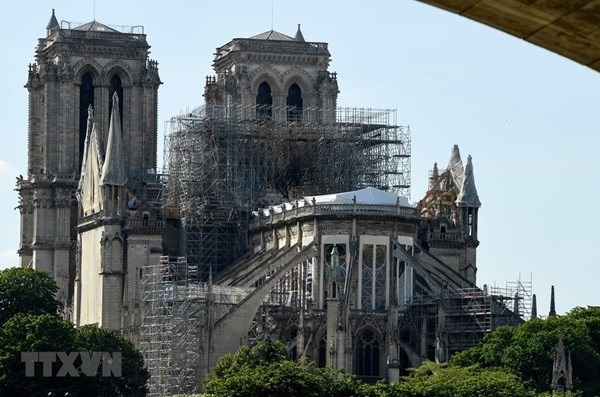 Pháp: Phát lộ mộ cổ từ thế kỷ 14 bên dưới Nhà thờ Đức Bà Paris - Anh 1
