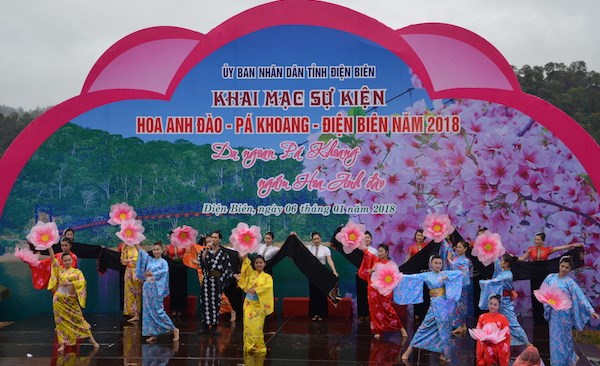Lễ hội hoa anh đào Điện Biên Phủ sẽ diễn ra vào 1.2024 - Anh 1