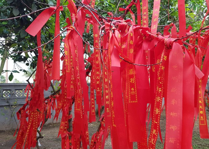 Những dải băng “lạ lùng” trên đỉnh non thiêng - Anh 2