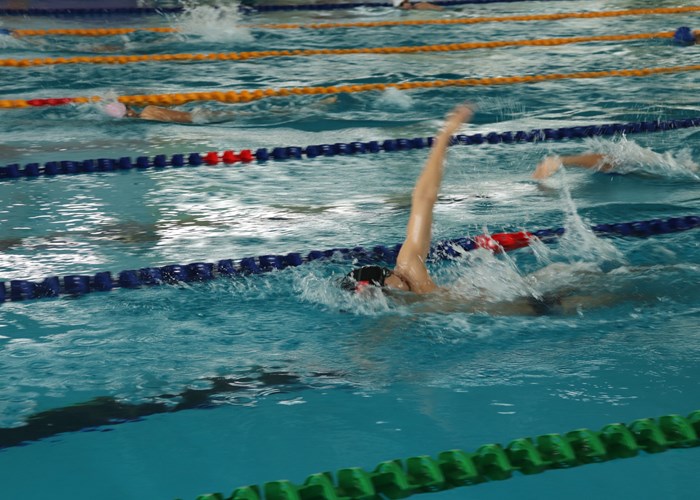 Tuyển bơi Việt Nam quyết tâm giành thành tích tại SEA Games 31 - Anh 2