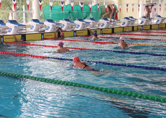 Tuyển bơi Việt Nam quyết tâm giành thành tích tại SEA Games 31 - Anh 1