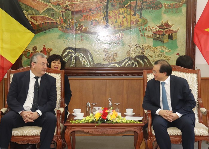 Việt Nam và Wallonie – Bruxelles tăng cường hợp tác về thể thao - Anh 1