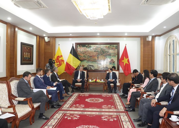 Việt Nam và Wallonie – Bruxelles tăng cường hợp tác về thể thao - Anh 2