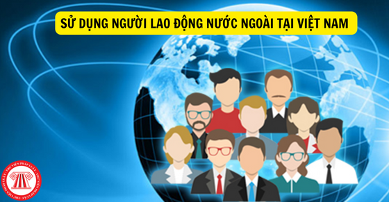 Thi trực tuyến  về các quy định pháp luật liên quan đến quyền, nghĩa vụ của người Việt Nam ở nước ngoài - Anh 1