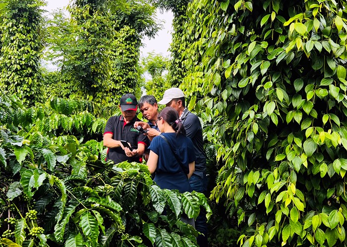 Nestlé Việt Nam đẩy mạnh hợp tác đa bên trong nỗ lực thúc đẩy nông nghiệp xanh, ứng phó biến đổi khí hậu - Anh 4