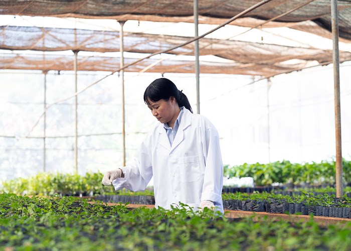 Nestlé Việt Nam đẩy mạnh hợp tác đa bên trong nỗ lực thúc đẩy nông nghiệp xanh, ứng phó biến đổi khí hậu - Anh 5