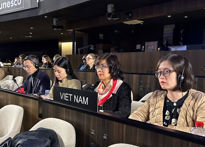 Việt Nam trúng cử Phó Chủ tịch ủy ban bảo vệ đa dạng văn hóa của UNESCO - Anh 2