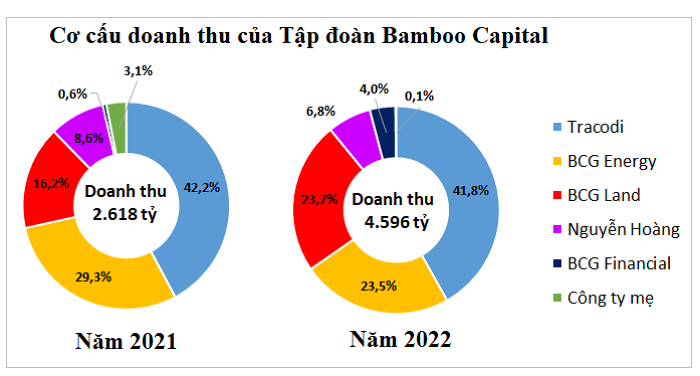 Bảo hiểm AAA sau một năm về với Bamboo Capital: Đứng thứ tư thị trường về tốc độ tăng trưởng doanh thu - Anh 2