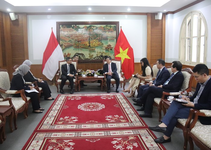Việt Nam – Indonesia: Tăng cường hợp tác VHTTDL - Anh 4