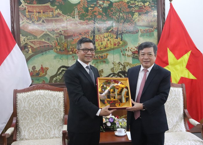 Việt Nam – Indonesia: Tăng cường hợp tác VHTTDL - Anh 2