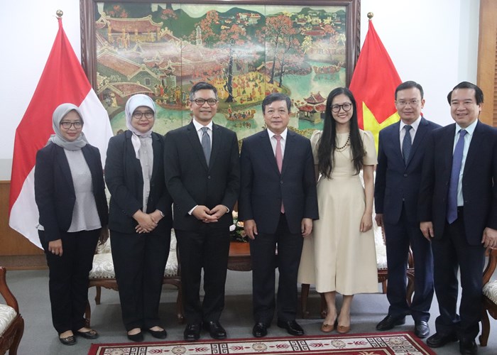 Việt Nam – Indonesia: Tăng cường hợp tác VHTTDL - Anh 3