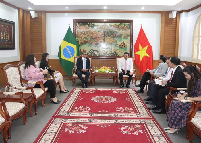 Việt Nam – Brazil: Tăng cường hợp tác văn hoá, thể thao - Anh 2