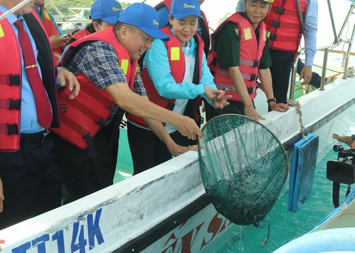 Lễ hội thả sinh vật biển bảo vệ môi trường vịnh Nha Trang - Anh 3