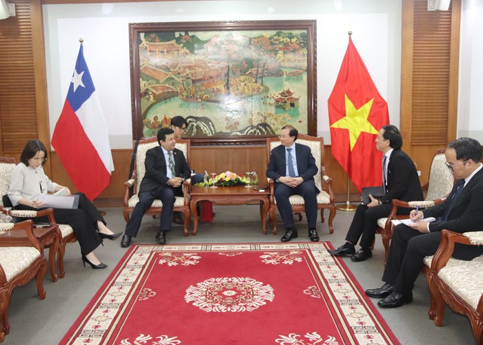 Tăng cường hợp tác VHTTDL Việt Nam với các nước Chile và Ai Cập - Anh 2