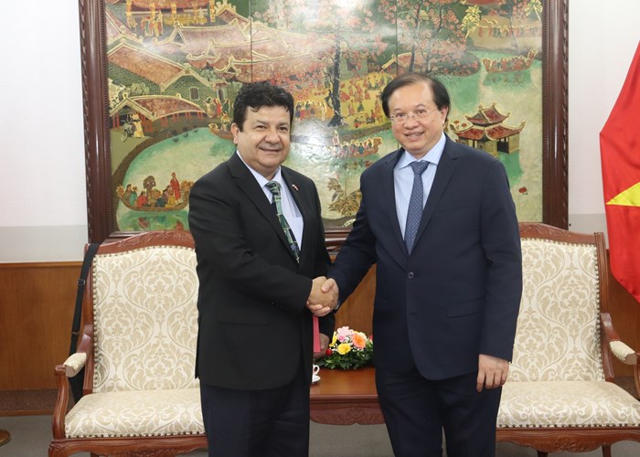 Tăng cường hợp tác VHTTDL Việt Nam với các nước Chile và Ai Cập - Anh 1