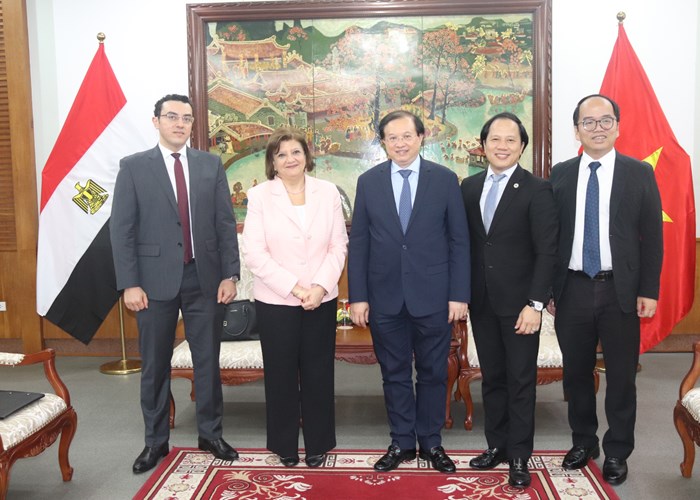 Tăng cường hợp tác VHTTDL Việt Nam với các nước Chile và Ai Cập - Anh 6