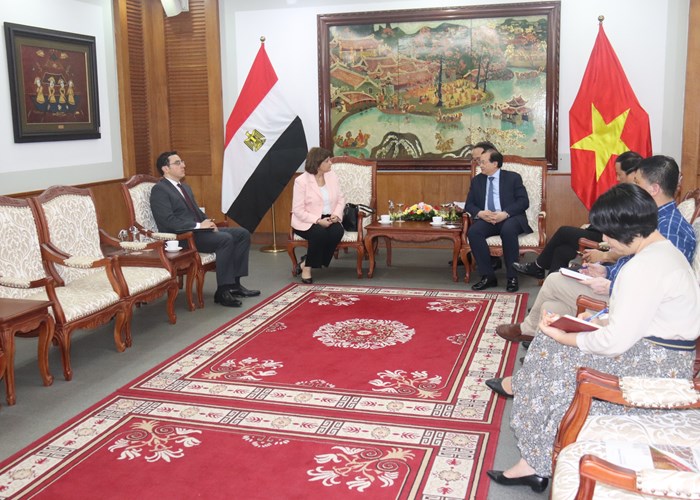 Tăng cường hợp tác VHTTDL Việt Nam với các nước Chile và Ai Cập - Anh 5