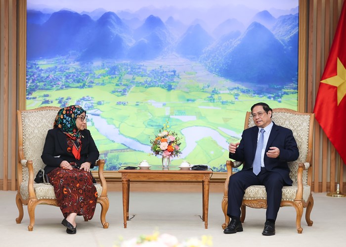 Thủ tướng đề nghị đẩy mạnh hợp tác văn hoá, du lịch giữa Việt Nam và Brunei - Anh 1