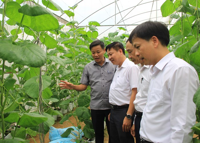Kiểm tra thực hiện Phong trào “Toàn dân đoàn kết xây dựng đời sống văn hóa” tại huyện Thọ Xuân, Thanh Hoá - Anh 7