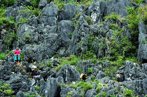 Tiếp tục bảo tồn Công viên địa chất toàn cầu Cao nguyên đá Đồng Văn gắn với phát triển du lịch - Anh 3