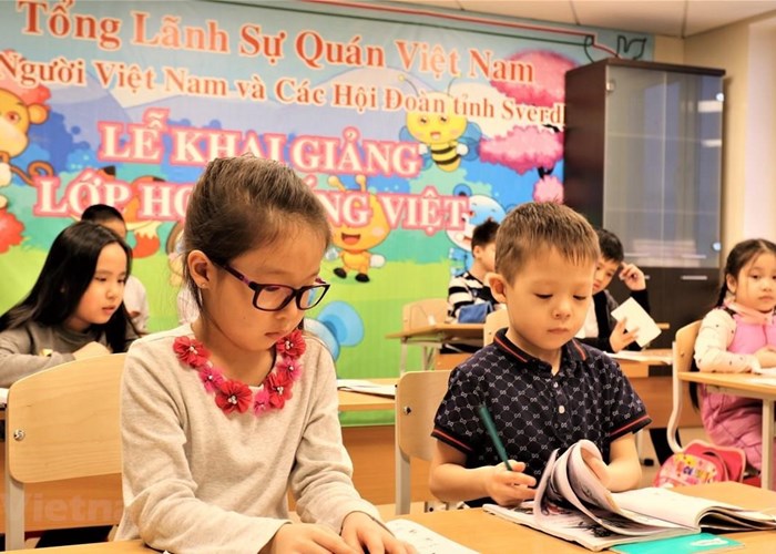 Đẩy mạnh dạy học tiếng Việt cho kiều bào, giữ gìn, phát huy bản sắc văn hóa dân tộc - Anh 1