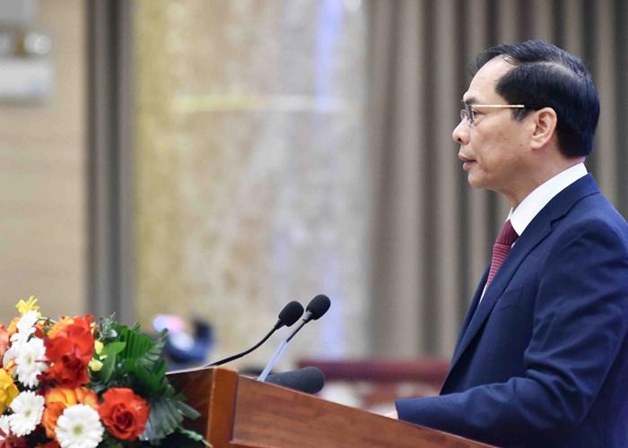 Tổng Bí thư Nguyễn Phú Trọng dự khai mạc Hội nghị Ngoại giao lần thứ 32 - Anh 3