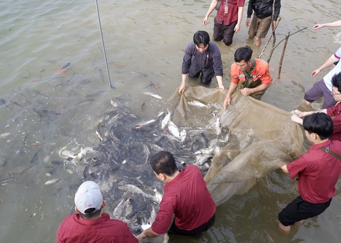Phóng sinh hơn 12 tấn cá xuống sông Lam - Anh 5