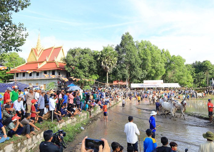 Phát huy Lễ hội đua bò Bảy Núi của đồng bào Khmer ở An Giang gắn với phát triển du lịch - Anh 3