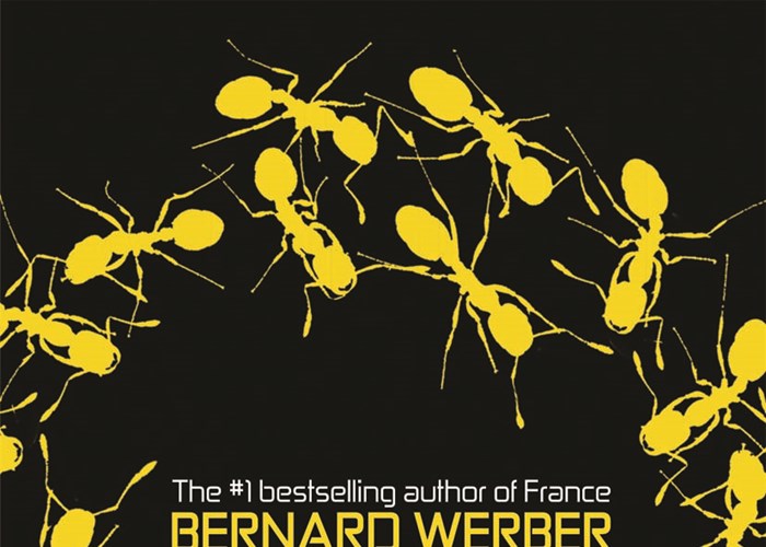 Gặp gỡ nhà văn Bernard Werber: Khám phá thế giới sau những trang sách - Anh 2