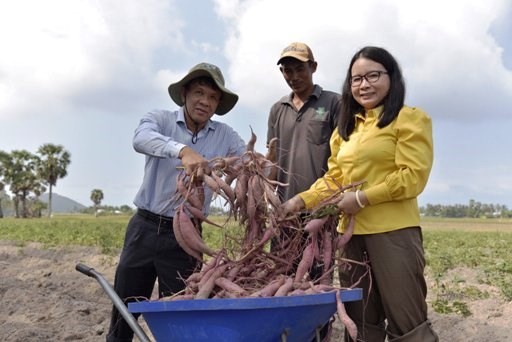 Hiệu quả từ mô hình trồng rau của đồng bào Khmer vùng biên giới - Anh 1