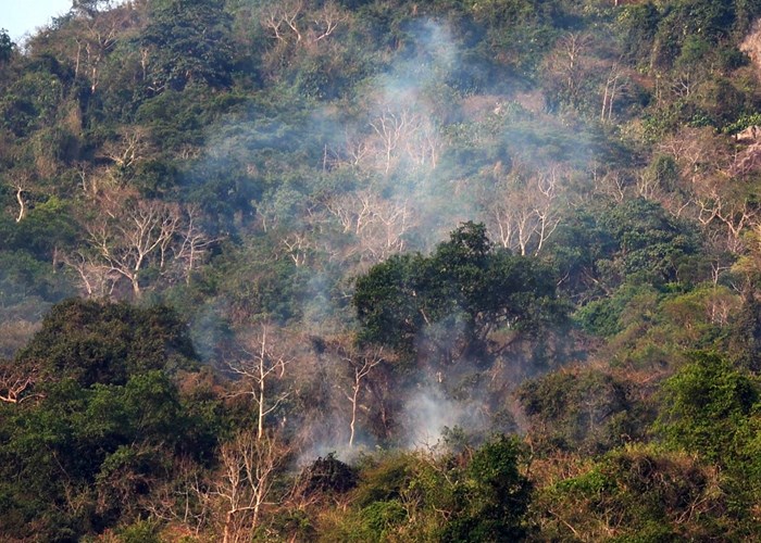 Tây Ninh: Kiểm soát được 2 vụ cháy xảy ra cùng một ngày tại quần thể núi Bà Đen - Anh 3