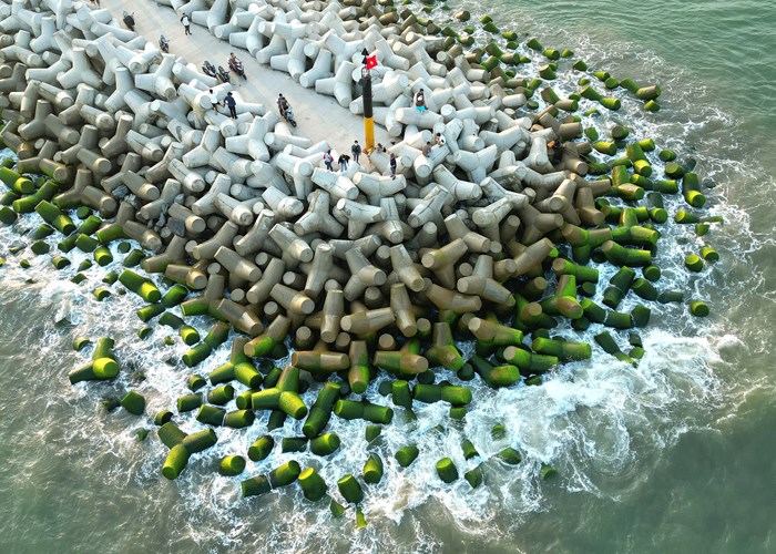 Bãi rêu xanh mướt ở bờ kè biển Quảng Ngãi thu hút du khách - Anh 1