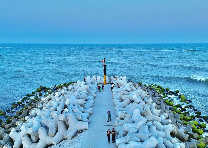 Bãi rêu xanh mướt ở bờ kè biển Quảng Ngãi thu hút du khách - Anh 7