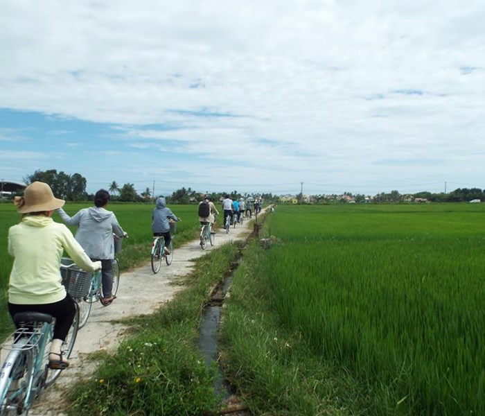 Thử nghiệm tour du lịch sinh thái tại TP Hội An, Quảng Nam:  Để cộng đồng cùng hưởng lợi - Anh 1