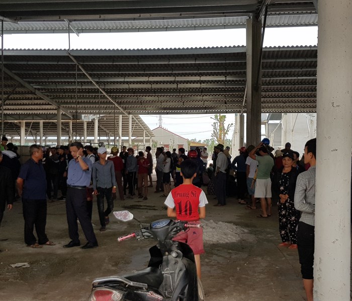 Quảng Bình: Người dân kéo đến vây trang trại nuôi bò gây ô nhiễm - Anh 1