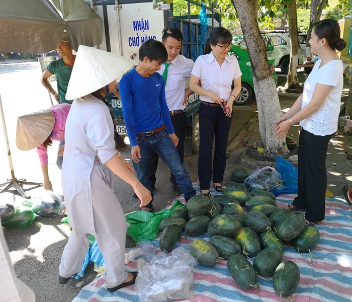 Quảng Nam: “Giải cứu” dưa hấu giúp nông dân - Anh 2