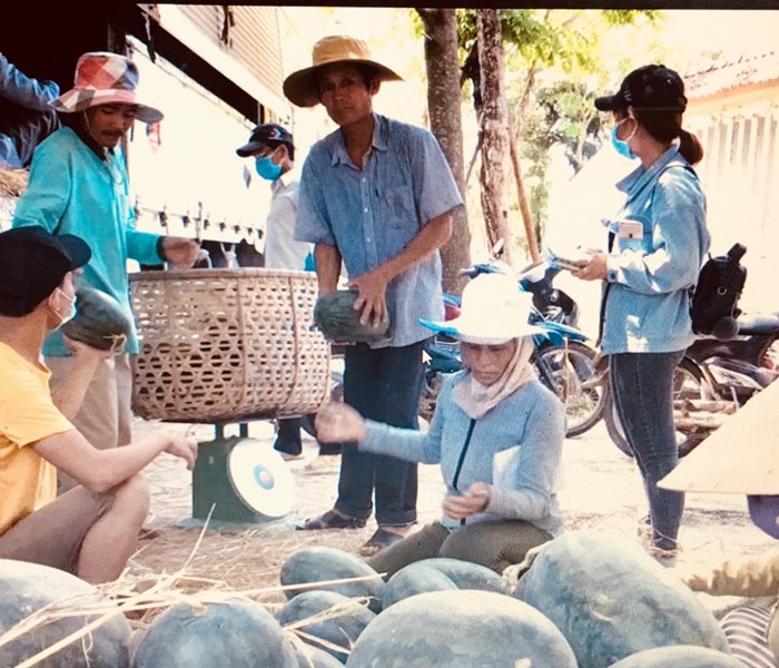 Quảng Nam: “Giải cứu” dưa hấu giúp nông dân - Anh 3