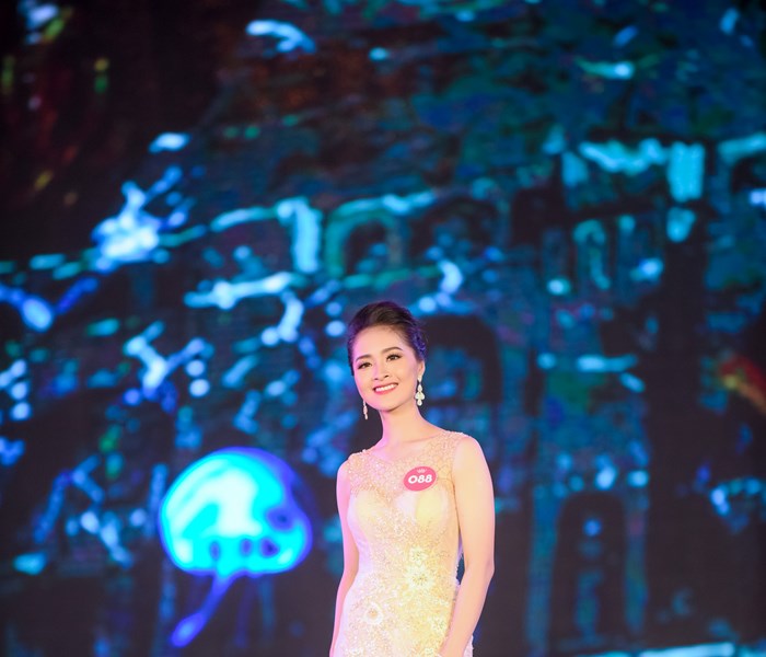 Lộ diện 25 người đẹp phía Bắc vào Chung kết Hoa hậu Việt Nam 2018 - Anh 13