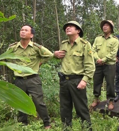 Quảng Nam: Tính chuyện mua lại rừng, trồng cây bản địa bảo vệ đàn voọc chà vá chân xám - Anh 4
