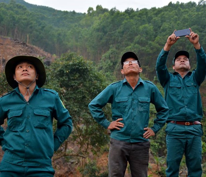 Quảng Nam: Tính chuyện mua lại rừng, trồng cây bản địa bảo vệ đàn voọc chà vá chân xám - Anh 3