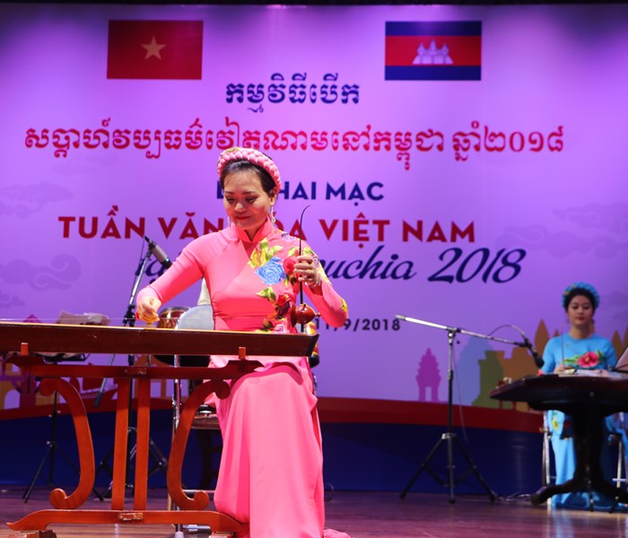 Khai mạc Tuần Văn hóa Việt Nam tại Campuchia năm 2018 - Anh 8