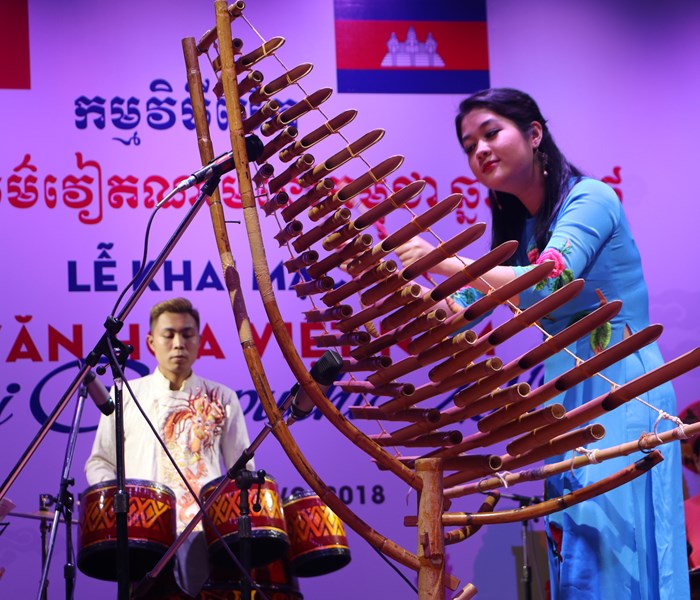 Khai mạc Tuần Văn hóa Việt Nam tại Campuchia năm 2018 - Anh 9