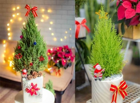Mốt chơi “cây thông” lạ mùa Noel năm nay, chủ shop thu tiền triệu mỗi ngày - Anh 1