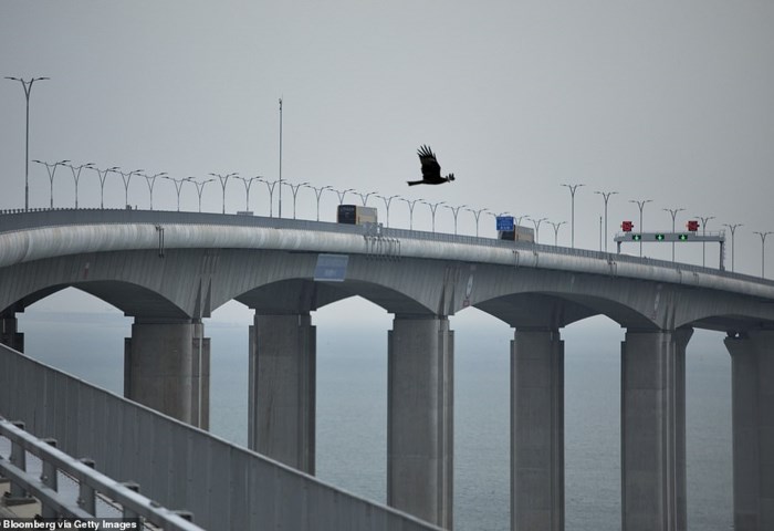 Toàn cảnh cây cầu vượt biển dài nhất thế giới của Trung Quốc - Anh 2