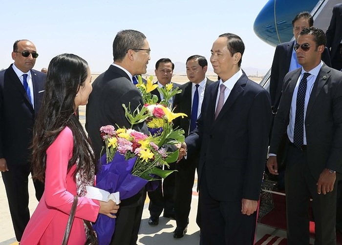 Chuyến thăm của Chủ tịch nước Trần Đại Quang mở ra triển vọng hợp tác mới với Ai Cập - Anh 1