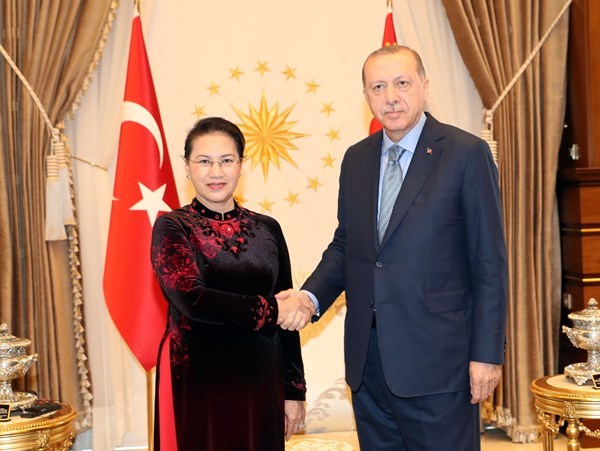 Chủ tịch Quốc hội Nguyễn Thị Kim Ngân tiếp kiến Tổng thống Thổ Nhĩ Kỳ - Anh 1