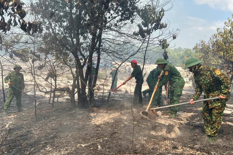 Thừa Thiên Huế: Huy động lực lượng dập tắt vụ cháy rừng phòng hộ ven biển - Anh 1