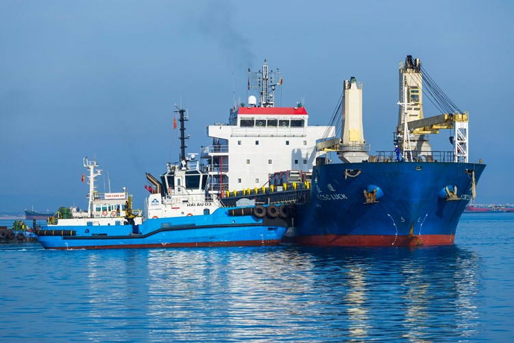 Cảng tổng hợp Container Hòa Phát Dung Quất đưa bến đầu tiên vào hoạt động - Anh 1