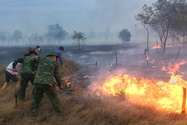 Quảng Trị: Khống chế đám cháy ở rừng phòng hộ xã Triệu Sơn - Anh 1